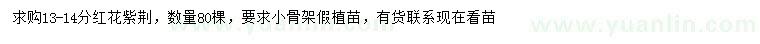 求購13-14公分紅花紫荊