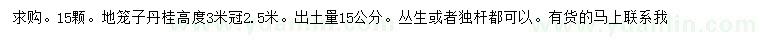 求購高3米丹桂