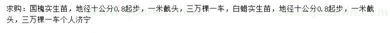 求購地徑10公分量0.8公分起步國槐、白蠟