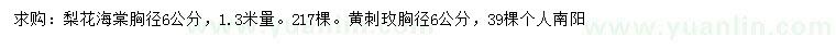求購胸徑6公分梨花海棠、黃刺玫