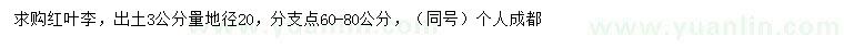 求購(gòu)出土3公分量地徑20公分紅葉李