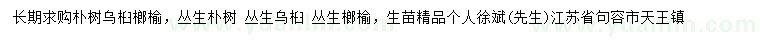 求購(gòu)樸樹(shù)、烏桕、榔榆等