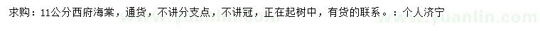 求購11公分西府海棠