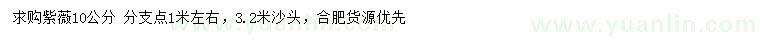 求購10公分紫薇