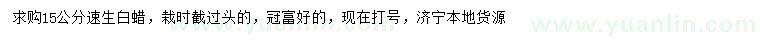 求購15公分速生白蠟