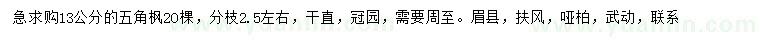 求購(gòu)13公分五角楓