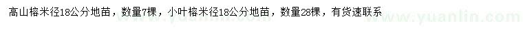 求購(gòu)米徑18公分高山榕、小葉榕