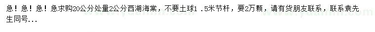 求購20公分處量2公分西湖海棠