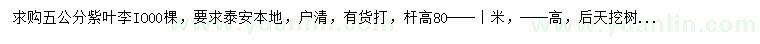 求購5公分紫葉李