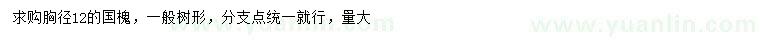 求購胸徑12公分國槐