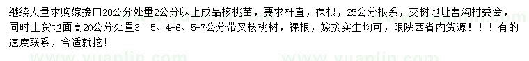 求購嫁接口20公分處量2公分以上核桃苗、地面高20公分處量3–5、4-6、5-7公分核桃樹