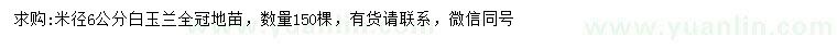 求購(gòu)米徑6公分白玉蘭