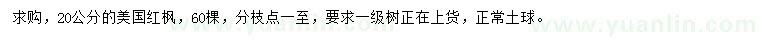求購20公分美國紅楓