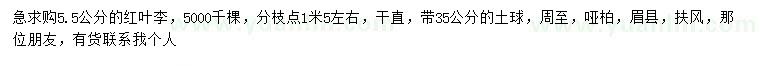 求購(gòu)5.5公分紅葉李