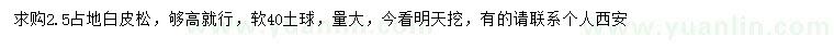 求購2.5公分白皮松