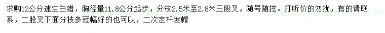 求購11.8公分以上速生白蠟