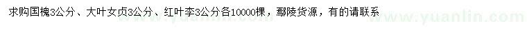 求購國槐、大葉女貞、紅葉李
