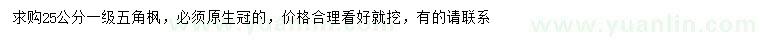 求購25公分五角楓