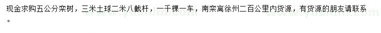 求購5公分欒樹