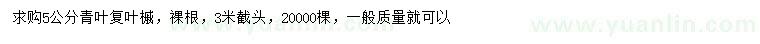 求購(gòu)5公分青葉復(fù)葉槭