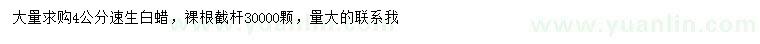 求購(gòu)4公分速生白蠟