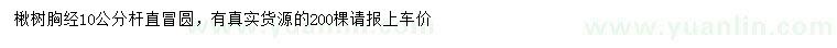 求購(gòu)胸經(jīng)10公分楸樹(shù)