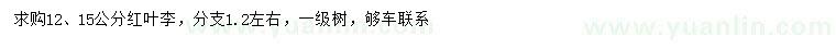 求購12、15公分紅葉李