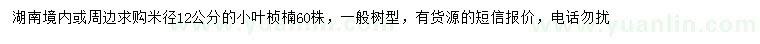 求購米徑12公分小葉楨楠