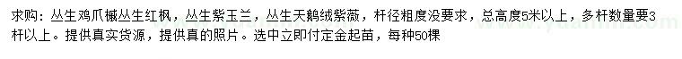 求購(gòu)叢生雞爪槭、叢生紅楓、叢生紫玉蘭等