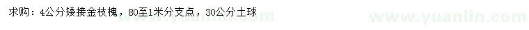 求購(gòu)4公分矮接金枝槐