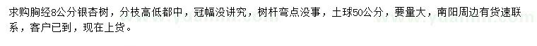 求購胸徑8公分銀杏