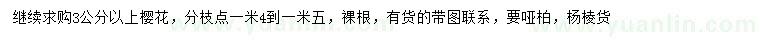 求購(gòu)3公分以上櫻花