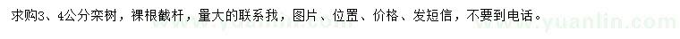 求購3、4公分欒樹
