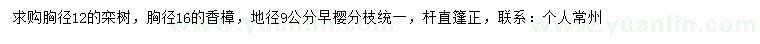 求購12公分欒樹、16公分香樟