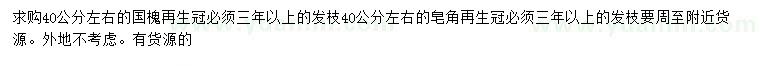求購(gòu)40公分左右的國(guó)槐
