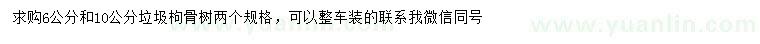 求購6、10公分垃圾枸骨樹