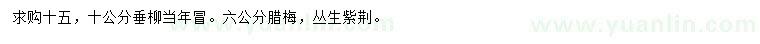求購(gòu)垂柳、臘梅、叢生紫荊