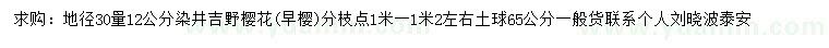 求購12公分染井吉野櫻花