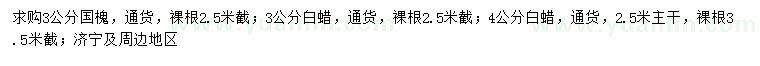求購國槐、白蠟