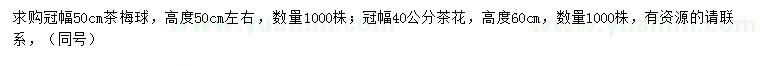 求購冠幅50公分茶梅球、冠幅40公分茶花