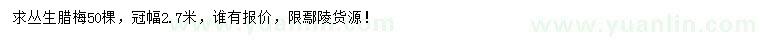 求購(gòu)冠幅2.7米叢生臘梅