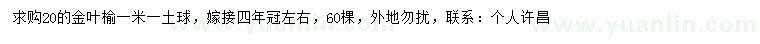 求購20公分金葉榆