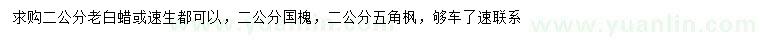 求購(gòu)白蠟、國(guó)槐、五角楓