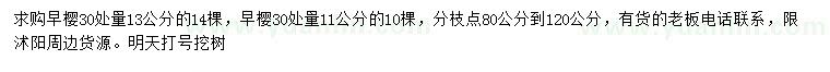 求購(gòu)30處量13公分早櫻