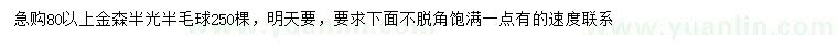 求購80公分以上金森毛球