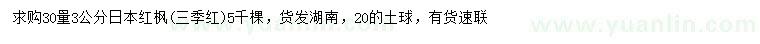 求購(gòu)30量3公分日本紅楓(三季紅)