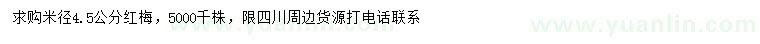 求購米徑4.5公分紅梅