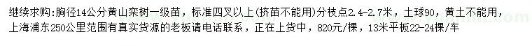 求購胸徑14公分黃山欒樹