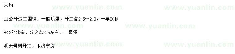 求購11公分速生國槐、8公分北欒