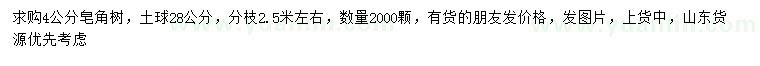 求購4公分皂角